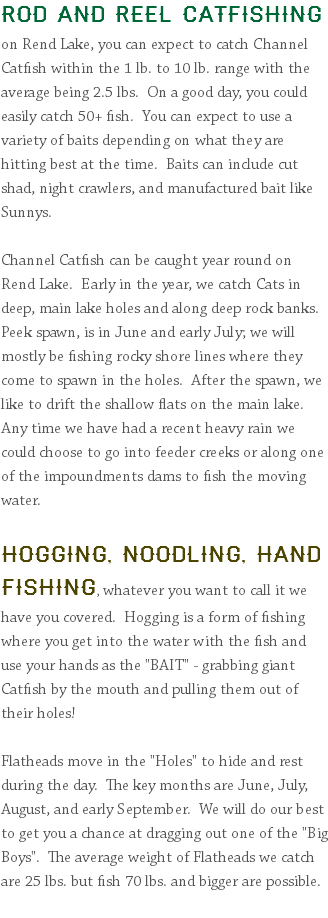 Rod and Reel Catfishing on Rend Lake, you can expect to catch Channel Catfish within the 1 lb. to 10 lb. range with the average being 2.5 lbs. On a good day, you could easily catch 50+ fish. You can expect to use a variety of baits depending on what they are hitting best at the time. Baits can include cut shad, night crawlers, and manufactured bait like Sunnys. Channel Catfish can be caught year round on Rend Lake. Early in the year, we catch Cats in deep, main lake holes and along deep rock banks. Peek spawn, is in June and early July; we will mostly be fishing rocky shore lines where they come to spawn in the holes. After the spawn, we like to drift the shallow flats on the main lake. Any time we have had a recent heavy rain we could choose to go into feeder creeks or along one of the impoundments dams to fish the moving water. Hogging, Noodling, Hand fishing, whatever you want to call it we have you covered. Hogging is a form of fishing where you get into the water with the fish and use your hands as the "BAIT" - grabbing giant Catfish by the mouth and pulling them out of their holes! Flatheads move in the "Holes" to hide and rest during the day. The key months are June, July, August, and early September. We will do our best to get you a chance at dragging out one of the "Big Boys". The average weight of Flatheads we catch are 25 lbs. but fish 70 lbs. and bigger are possible. 